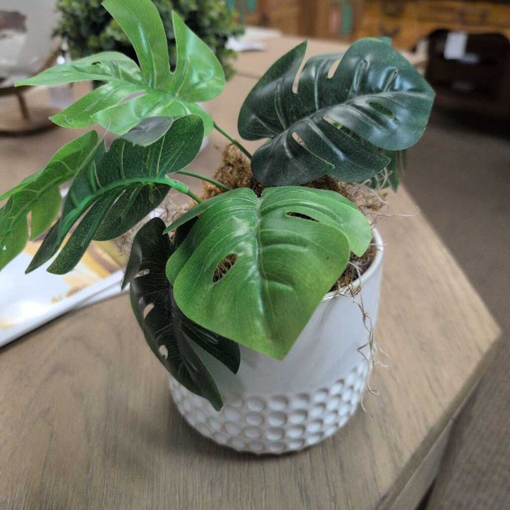 Faux Monstera Deliciosa Plant