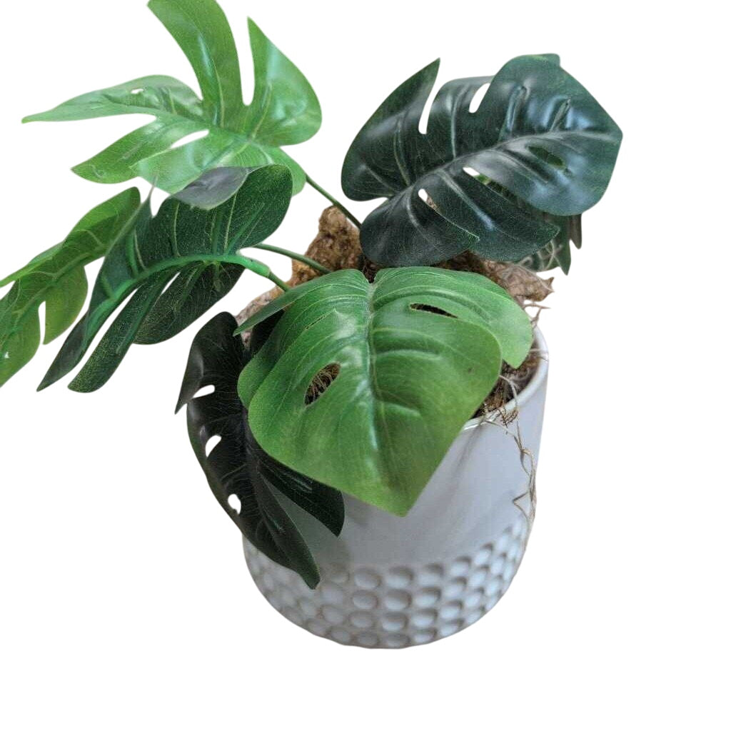 Faux Monstera Deliciosa Plant by Miss Daisy's Consignment & Auction House