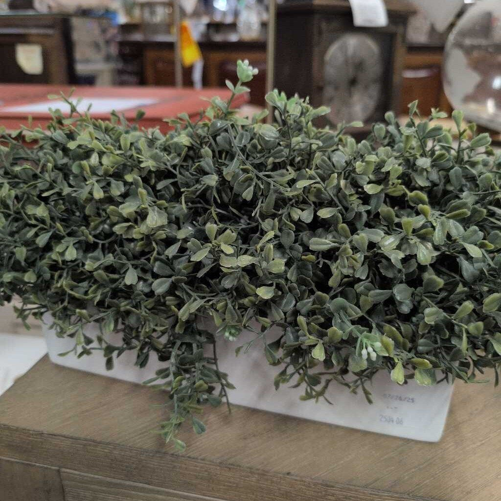Faux Boxwood Plant