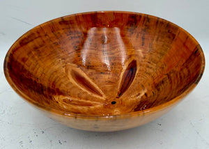 Jeff Davison Decorative Wood Turned Bowl Norfolk Pine Signed Bottom 9.3"