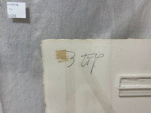 Sherry Andrens NSW 1981 Tryptic Watercolor on Fiber Paper Mounted in Acrylic Plates (3Pcs)