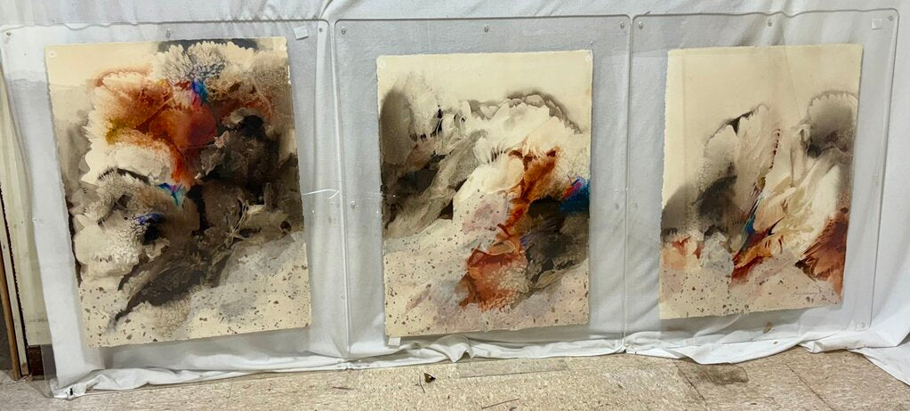 Sherry Andrens NSW 1981 Tryptic Watercolor on Fiber Paper Mounted in Acrylic Plates (3Pcs)