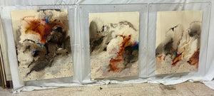Sherry Andrens NSW 1981 Tryptic Watercolor on Fiber Paper Mounted in Acrylic Plates (3Pcs)