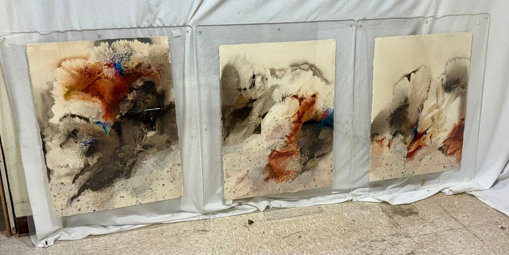 Sherry Andrens NSW 1981 Tryptic Watercolor on Fiber Paper Mounted in Acrylic Plates (3Pcs)