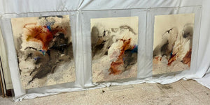 Sherry Andrens NSW 1981 Tryptic Watercolor on Fiber Paper Mounted in Acrylic Plates (3Pcs)