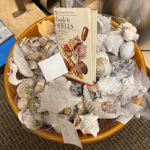 Misc. Bag of Shells