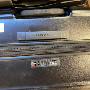 Assorted Large Suitcase (Each)