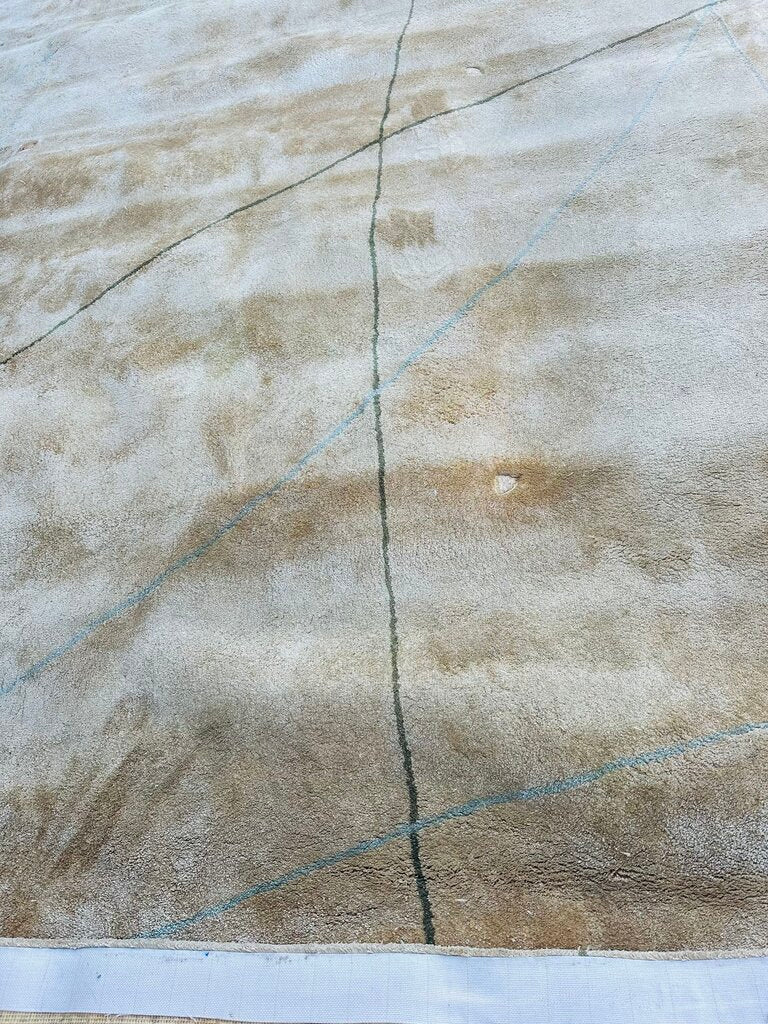 Tia Ping 100% Silk Rug 9'.6 x 16'