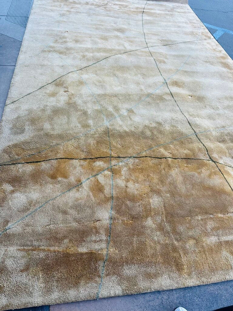 Tia Ping 100% Silk Rug 9'.6 x 16'
