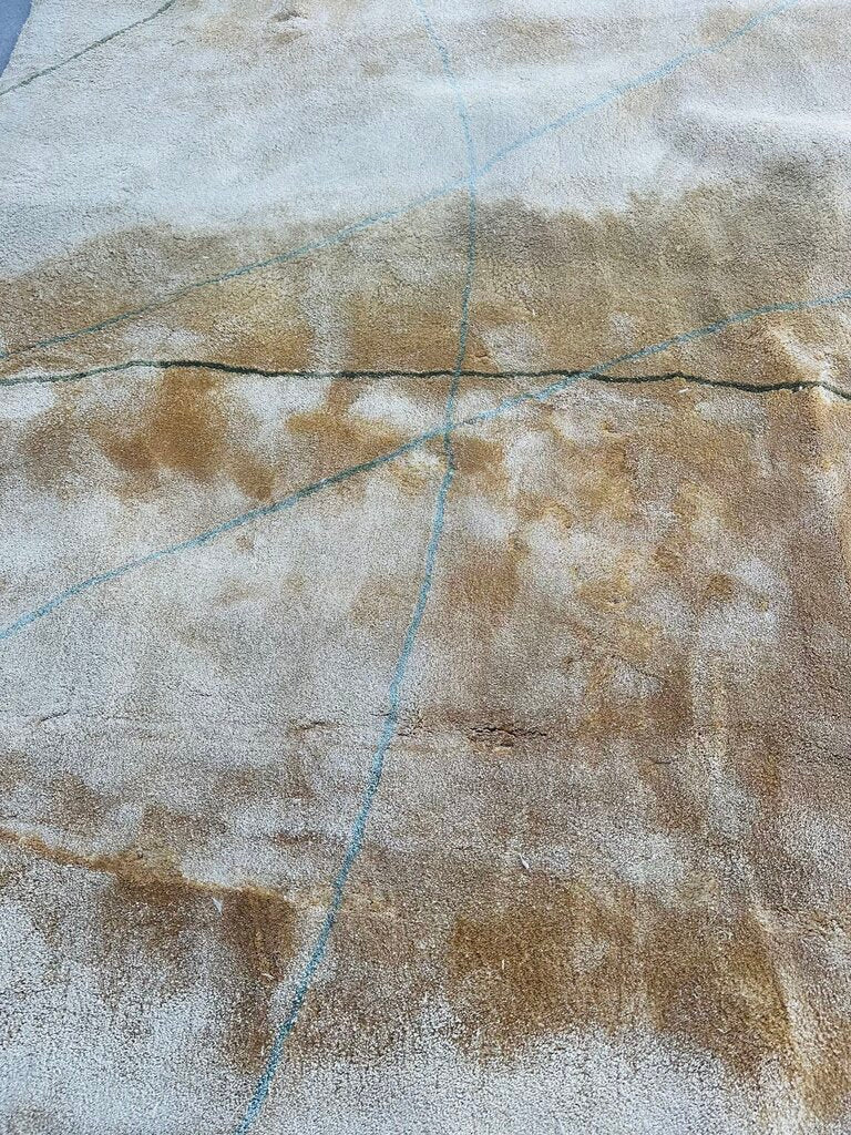Tia Ping 100% Silk Rug 9'.6 x 16'