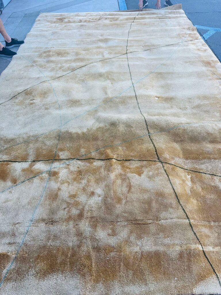 Tia Ping 100% Silk Rug 9'.6 x 16'