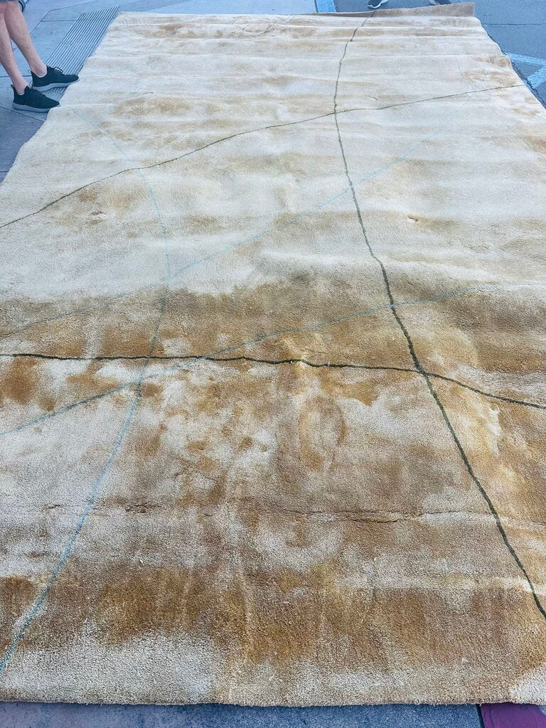 Tia Ping 100% Silk Rug 9'.6 x 16'