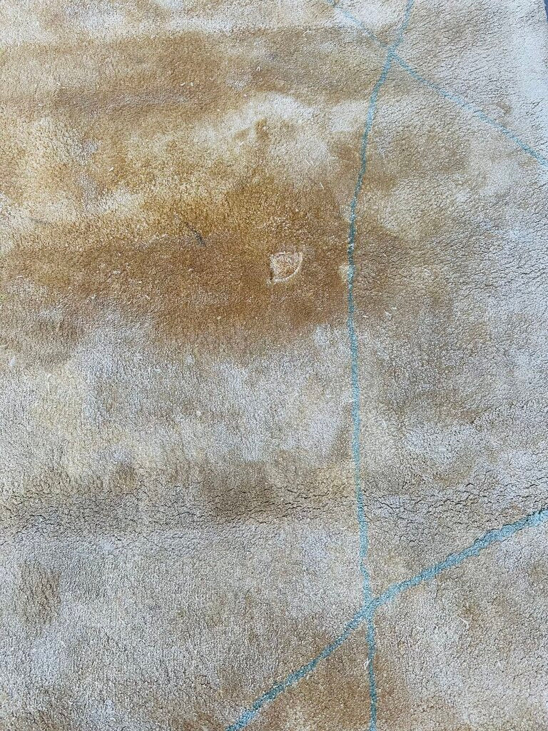 Tia Ping 100% Silk Rug 9'.6 x 16'