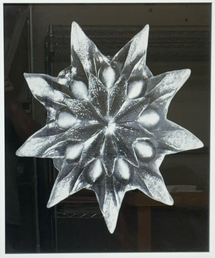 Uttermost Karl Bossfeldt "Bossfelt Redeux VI" Botanical Series Glicee Print by Vison Studio