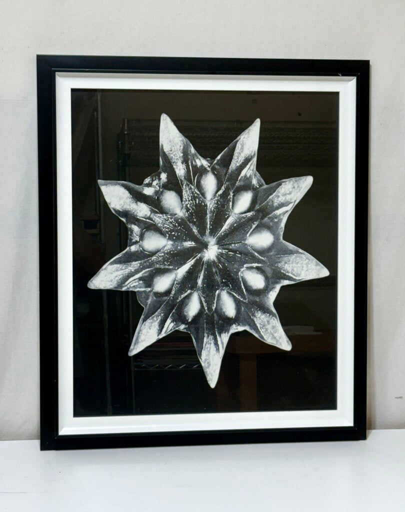 Uttermost Karl Bossfeldt "Bossfelt Redeux VI" Botanical Series Glicee Print by Vison Studio