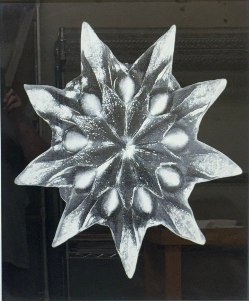 Uttermost Karl Bossfeldt "Bossfelt Redeux VI" Botanical Series Glicee Print by Vison Studio