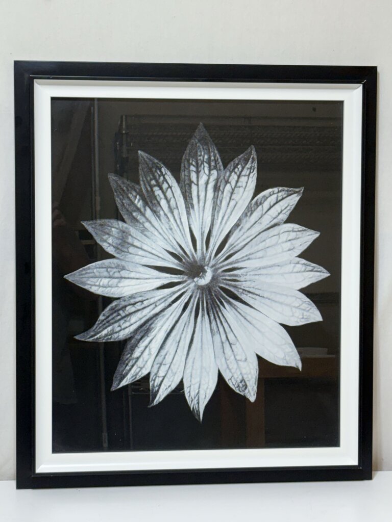 Uttermost Karl Bossfeldt "Bossfelt Flower II" Botanical Series Glicee Print by Vison Studio