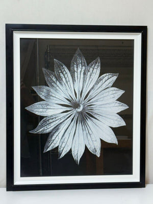 Uttermost Karl Bossfeldt "Bossfelt Flower II" Botanical Series Glicee Print by Vison Studio