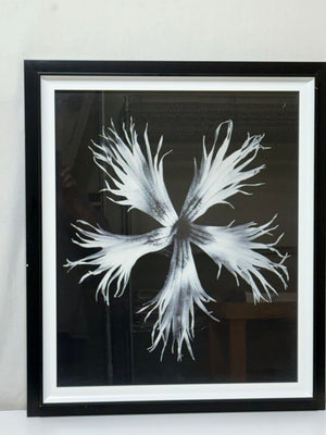 Uttermost Karl Bossfeldt "No.17 Dianthus Plumarius" Botanical Series Glicee Print by Vison Studio