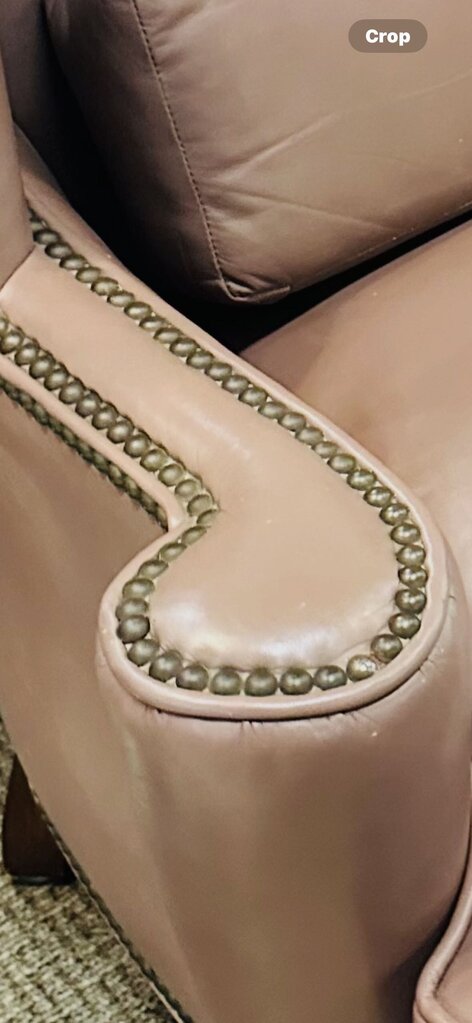 Leather Down Nailhead Wingback Chair