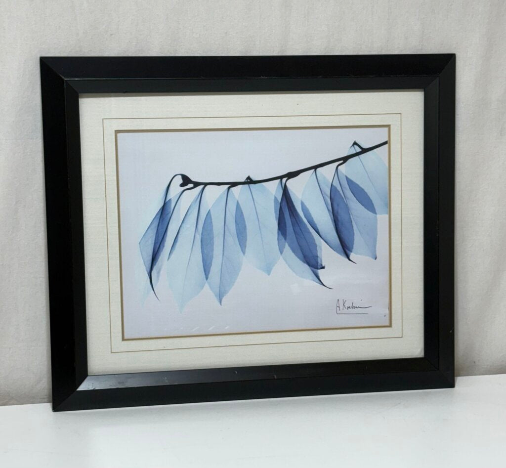 Albert Koetsier X-ray Photo Camelia Leaf Green Blue on White Litho Print