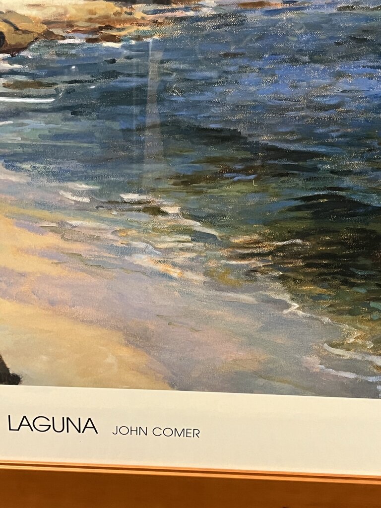 James Comer LAGUNA Framed Print 40x30
