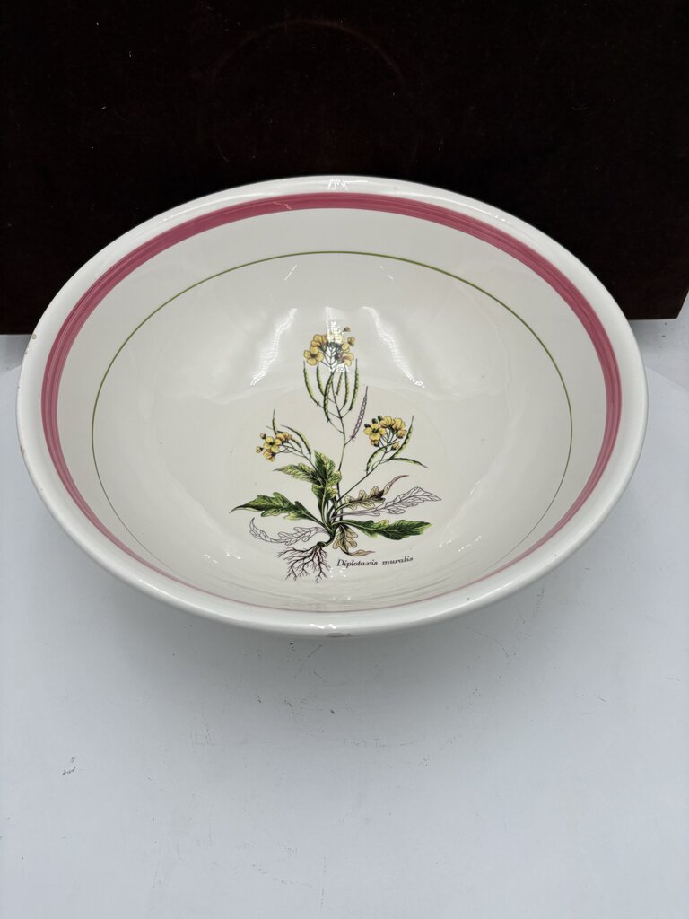 Primula Italy Herb Motif White Ceramic Past Bowl