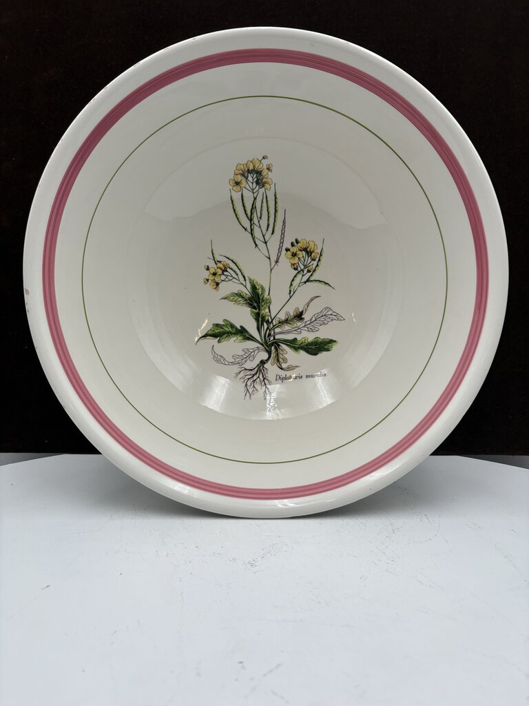Primula Italy Herb Motif White Ceramic Past Bowl