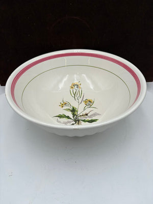 Primula Italy Herb Motif White Ceramic Past Bowl