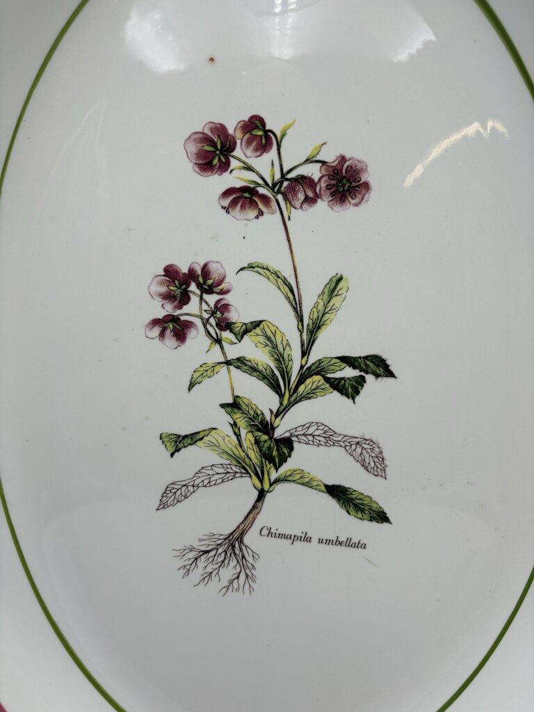 Primula Italy Herb Motif White Ceramic Oval Platter