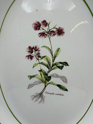 Primula Italy Herb Motif White Ceramic Oval Platter