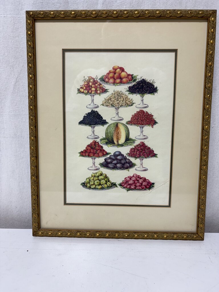 Mrs. Beeton's Cookery Book "Fruit" 1861 Replica Print