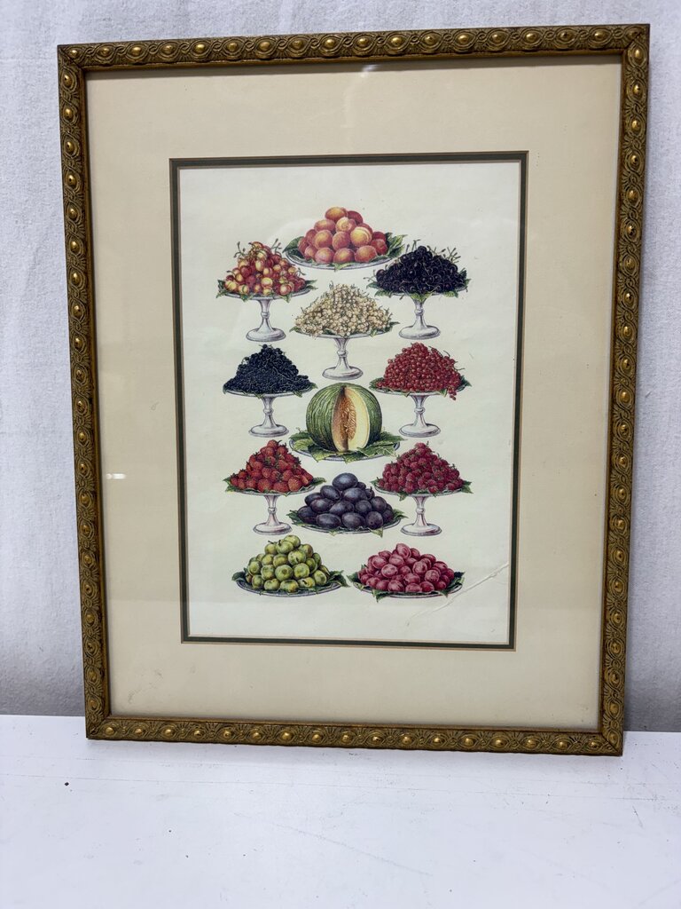 Mrs. Beeton's Cookery Book "Fruit" 1861 Replica Print