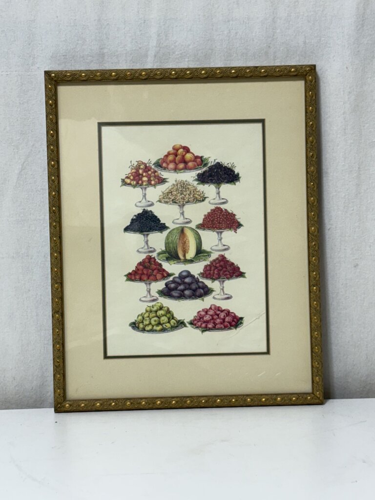 Mrs. Beeton's Cookery Book "Fruit" 1861 Replica Print