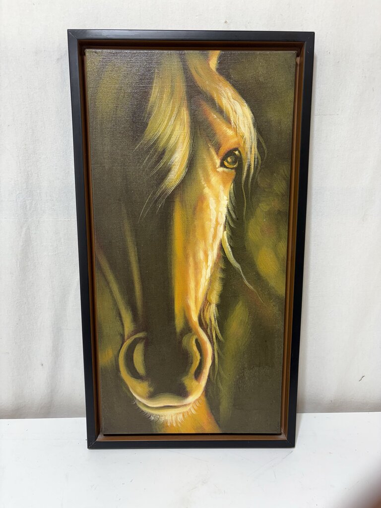 Decorative Canvas Art Horse Head Print