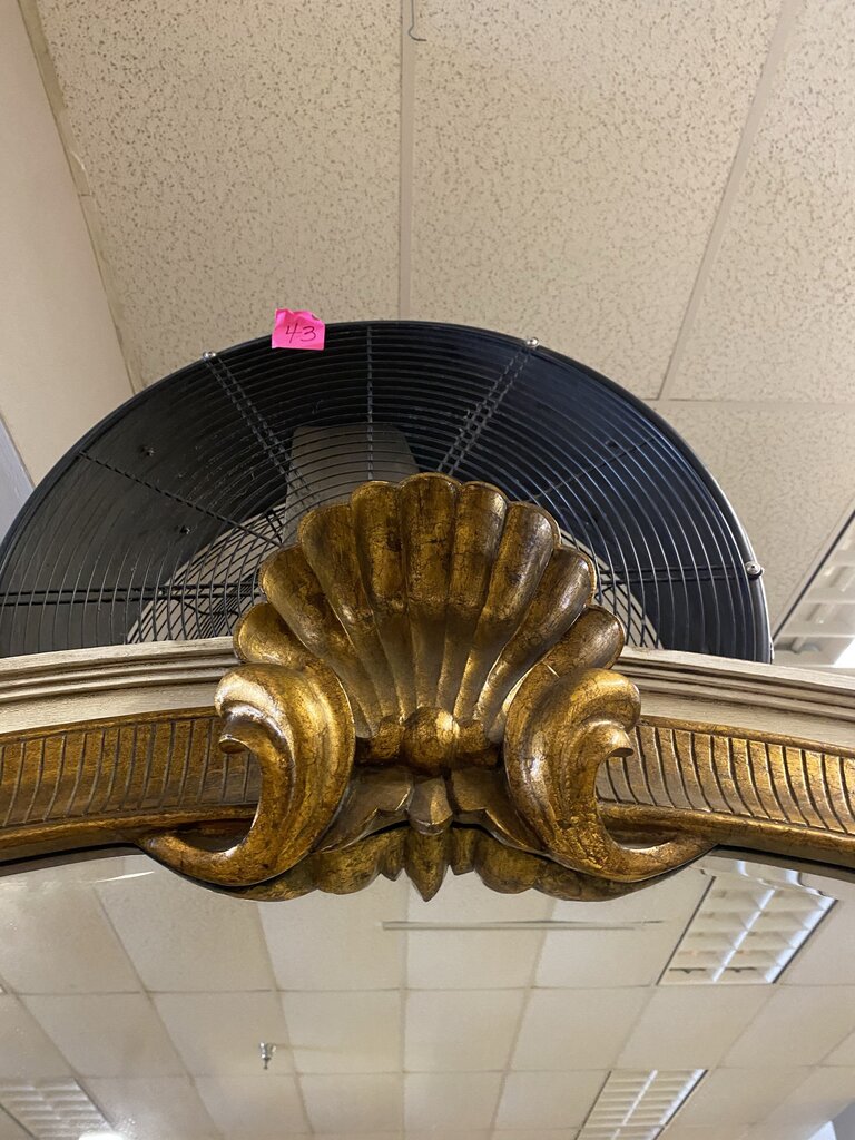 French Louis XVI Decorative Mirror 49x98