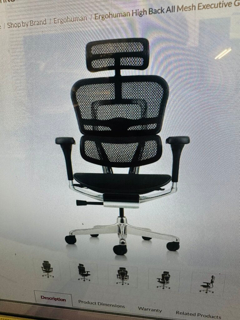 Ergohuman High Back All Mesh Executive Chair Orig. $750