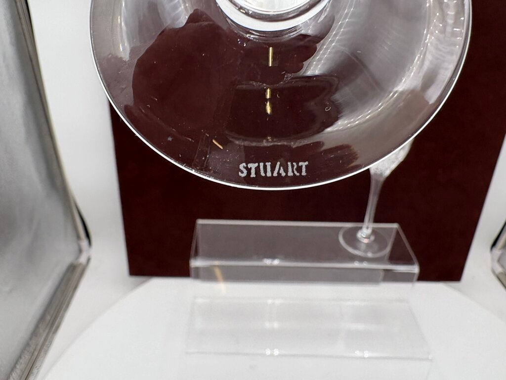 Stuart Crystal Manhattan Champagne Flute 9.25"