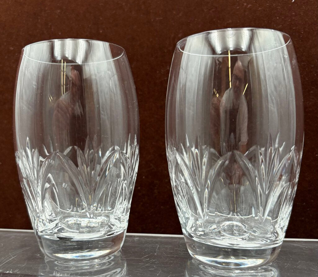 Spiegelau Cut Crystal Begonia Thumbprint Pattern Tumbler 4.5"
