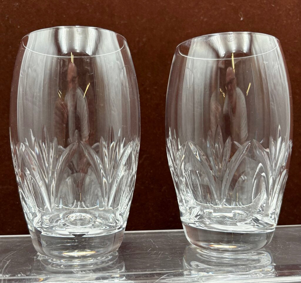 Spiegelau Cut Crystal Begonia Thumbprint Pattern Tumbler 4.5"