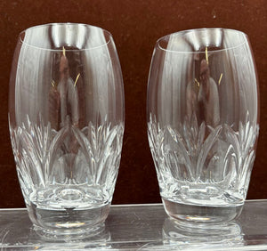 Spiegelau Cut Crystal Begonia Thumbprint Pattern Tumbler 4.5"
