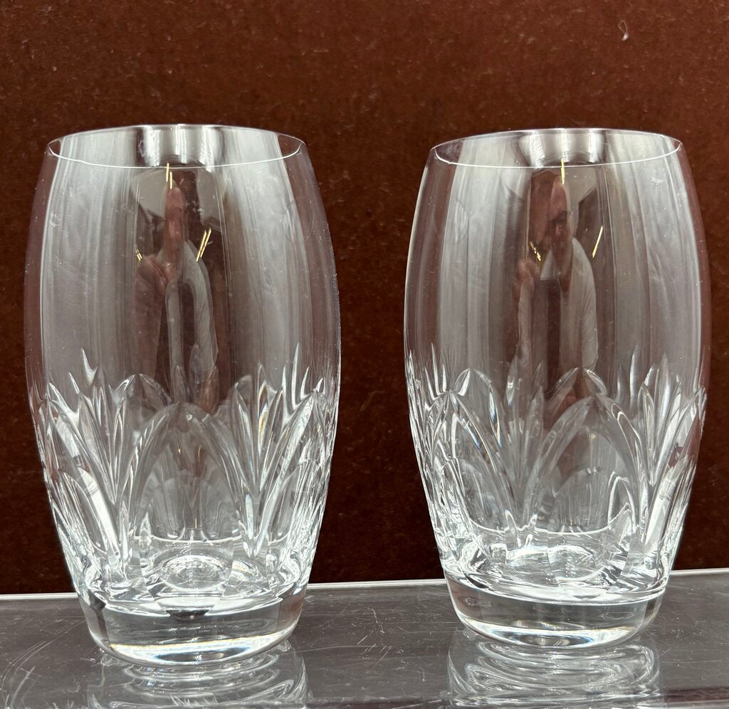 Spiegelau Cut Crystal Begonia Thumbprint Pattern Tumbler 4.5"