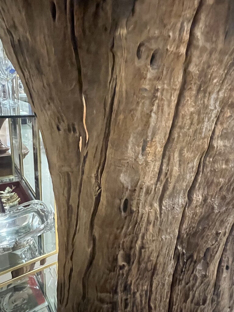 Polished Maple Wood Sculpture 6 Ft 9 Inches Tall