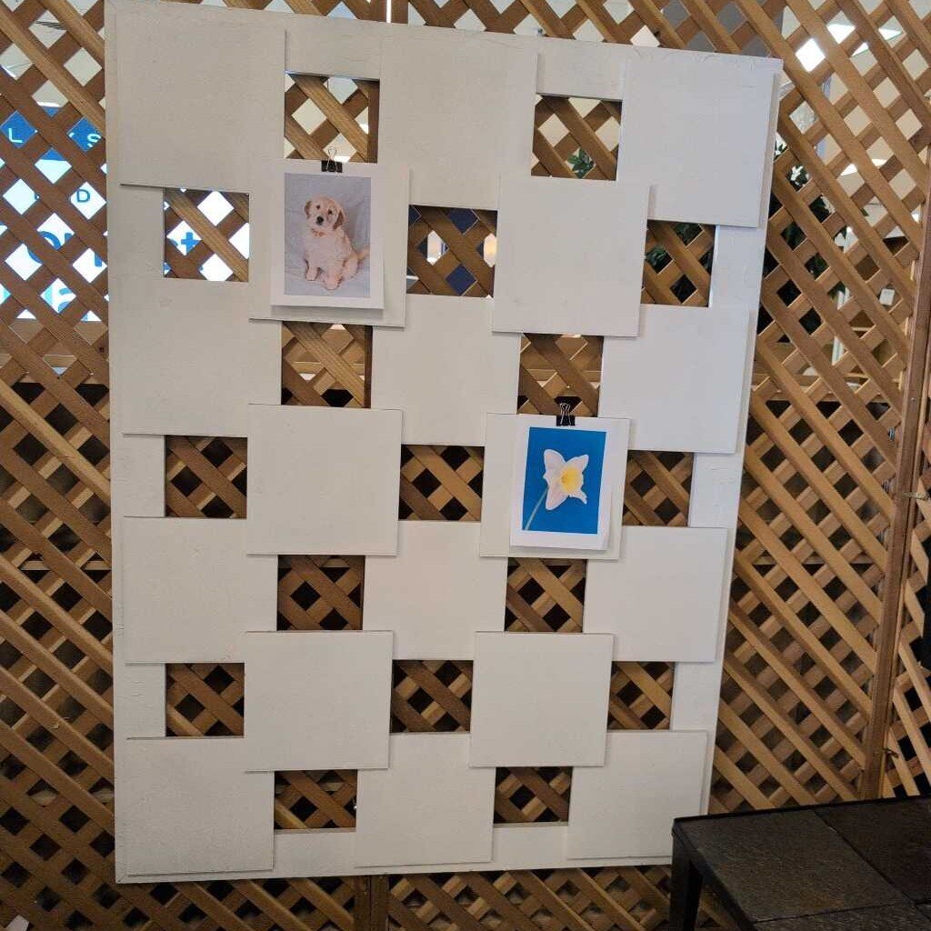 Hanging Wall Art Display