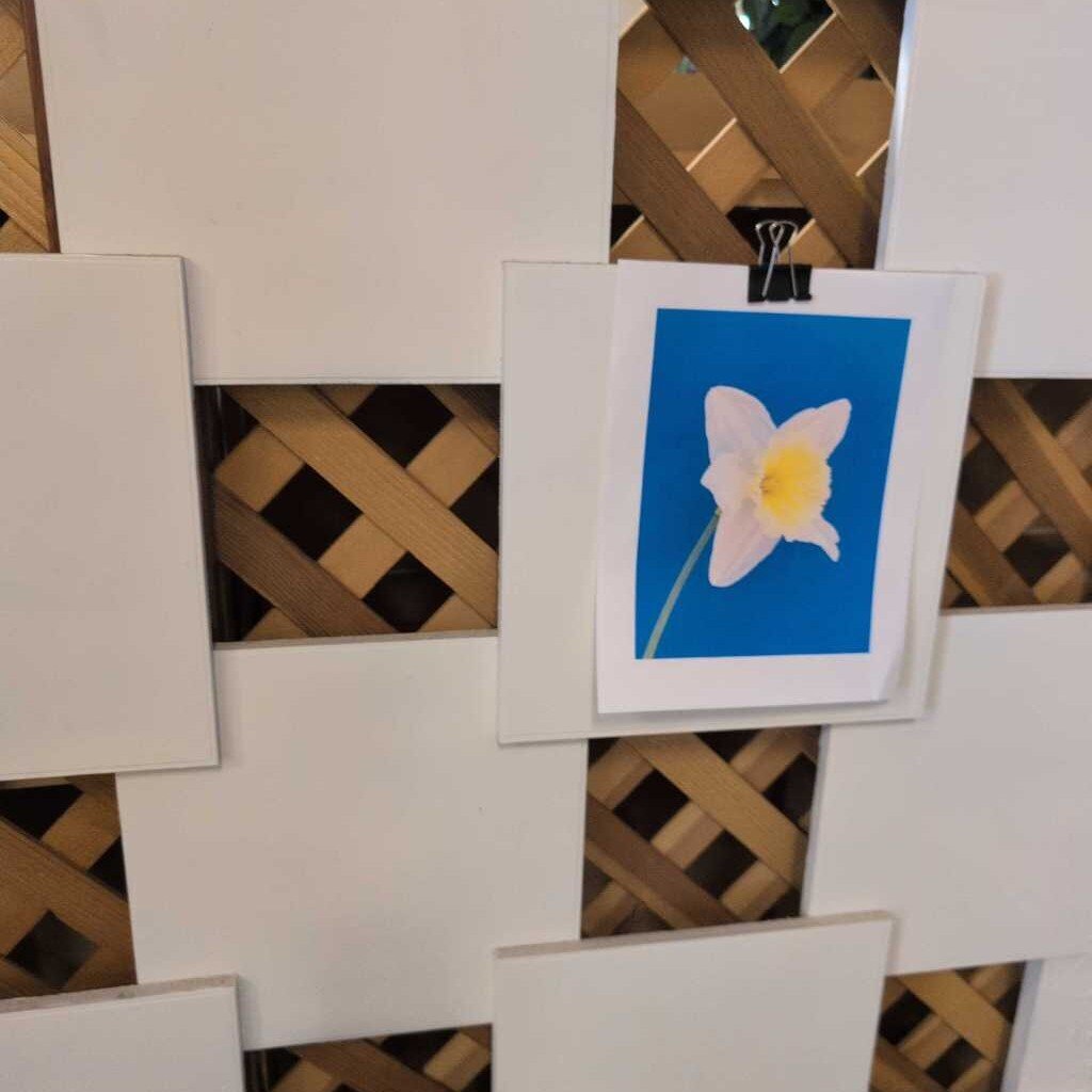 Hanging Wall Art Display