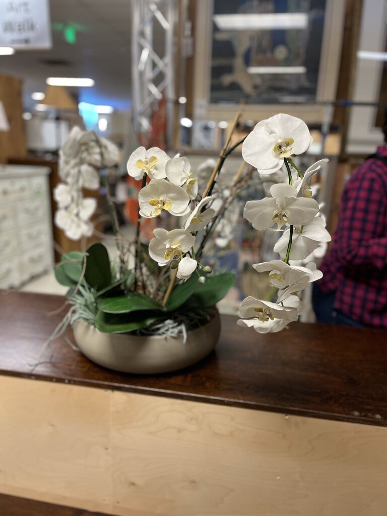 Faux White Cymbidium Orchid In Gray Pot