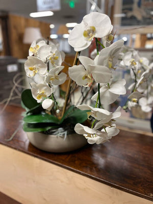 Faux White Cymbidium Orchid In Gray Pot