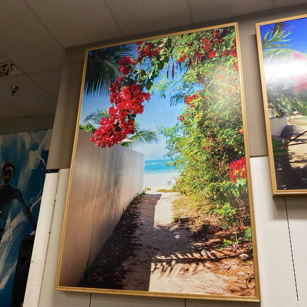 Tropical Scene Framed Artwork 49x73