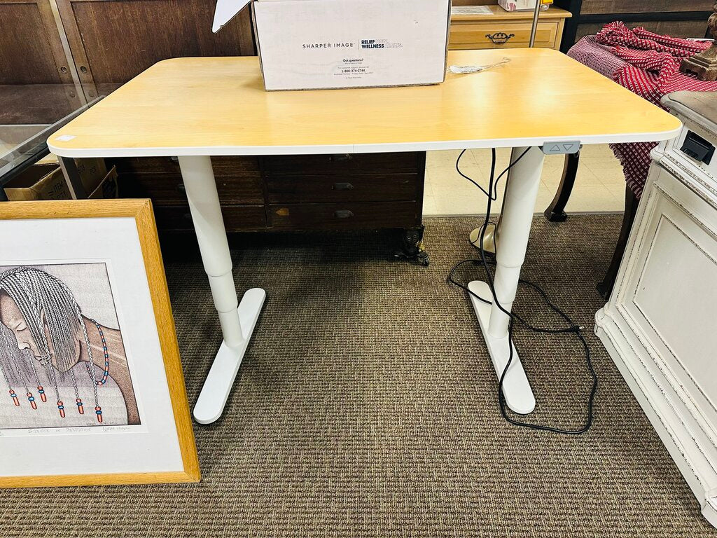 Ergonomic Electric Adjustable Standing Desk 47x32x34