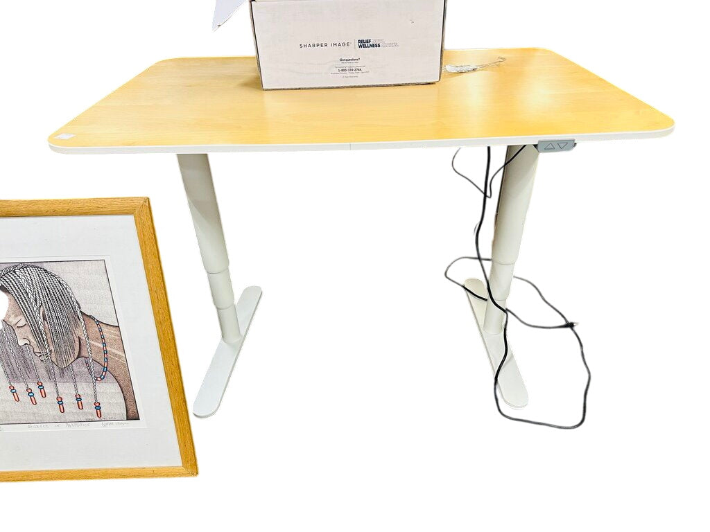 Ergonomic Electric Adjustable Standing Desk 47x32x34